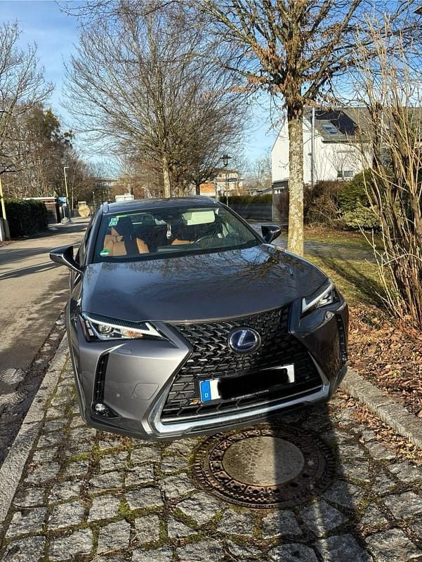 Grau Gebraucht 2019 Lexus UX 250h SUV | 24.000 € (Teuer) - Bild 1/4