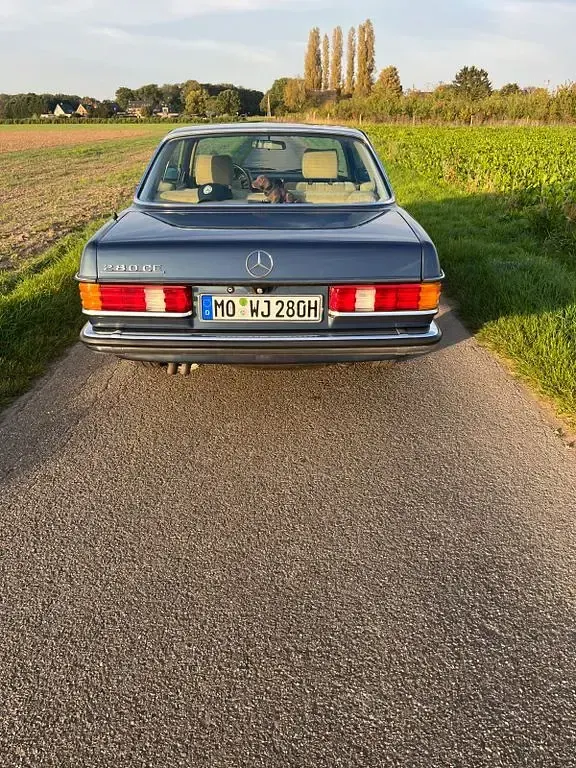 Gebraucht Mercedes 280 185 PS (136 kW) 1980 Blau Coupé
