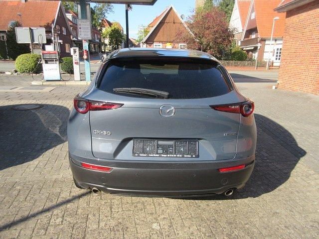Gebraucht Mazda CX-30 122 PS (89 kW) 2024 SUV