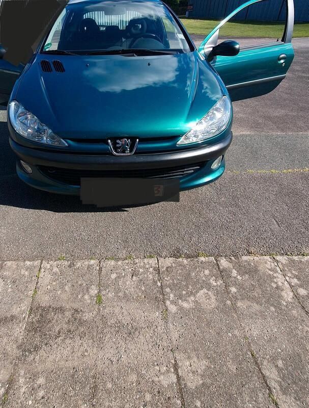 Grün Gebraucht 2001 Peugeot 206 Kleinwagen | 450 € (Guter Preis) - Bild 1/4