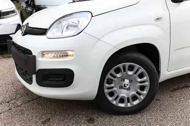 Neu Fiat Panda 69 PS (50 kW) 2025 Gelato weiß gelato weiß Kleinwagen