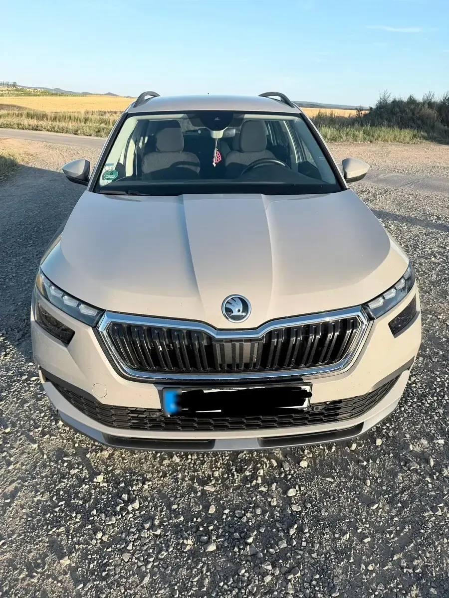 Gebraucht Skoda Kamiq 116 PS (85 kW) 2020 Grau SUV