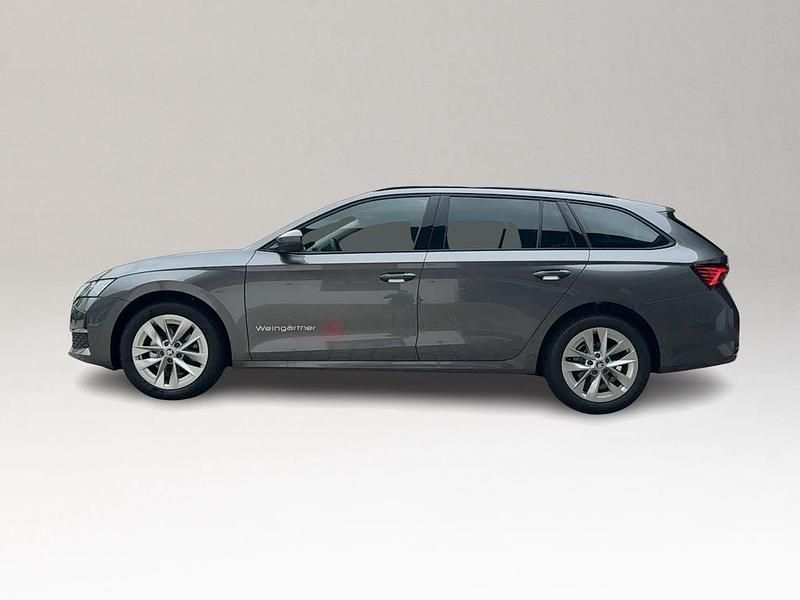 Gebraucht Skoda Octavia Selection 150 PS (110 kW) 2024 Othercolor Kombi