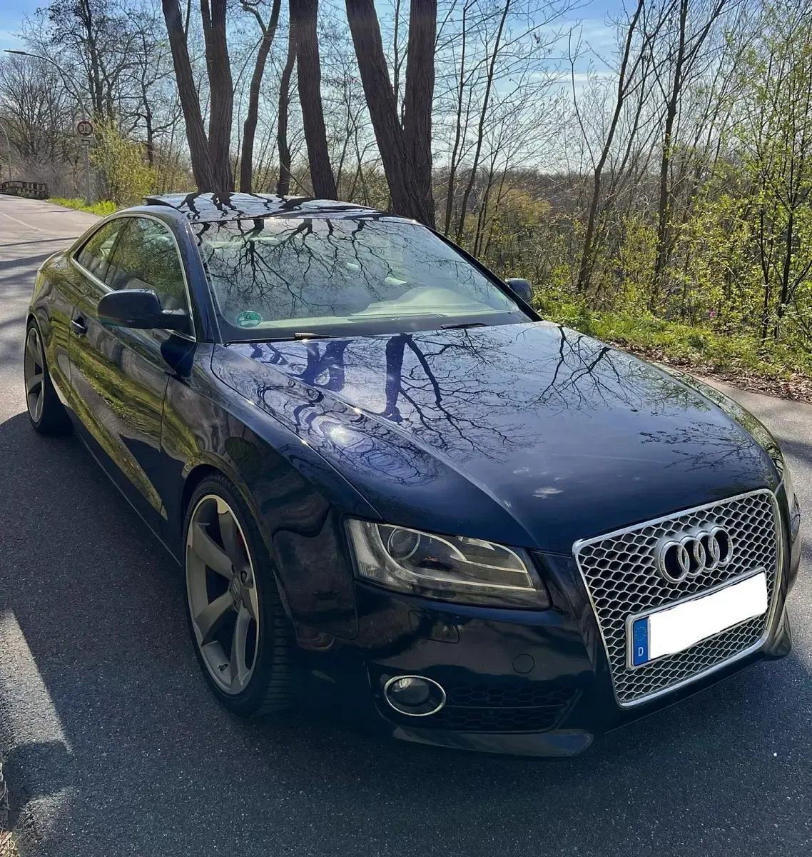 Gebraucht Audi A5 180 PS (132 kW) 2011 Blau Coupé
