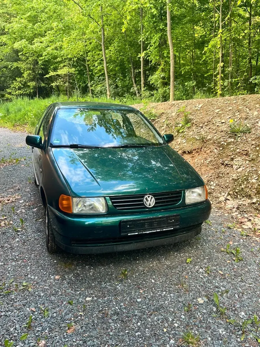 Gebraucht VW Polo 60 PS (44 kW) 1996 Grün Kleinwagen