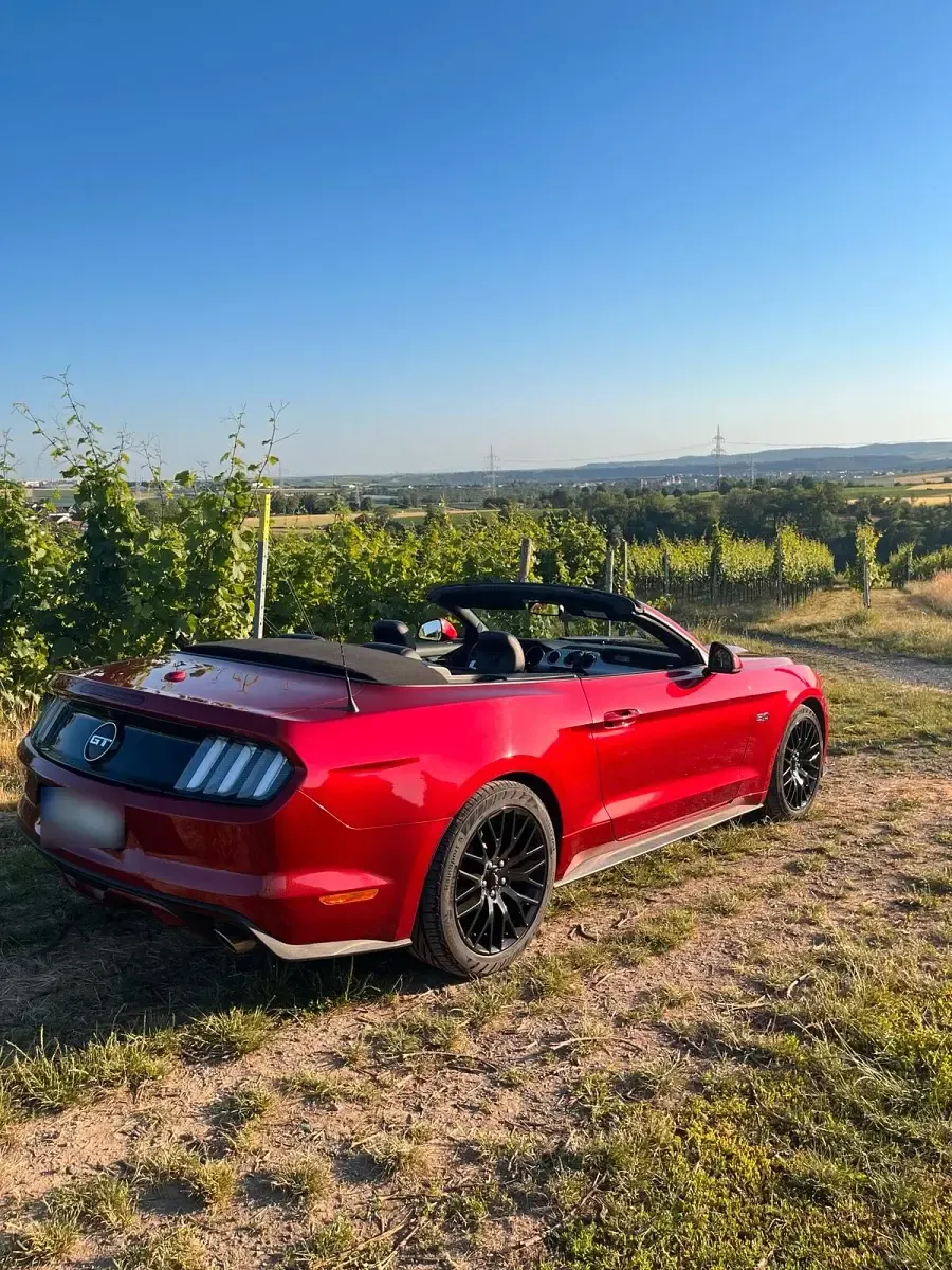 Gebraucht Ford Mustang GT 421 PS (309 kW) 2017 Rot Cabrio