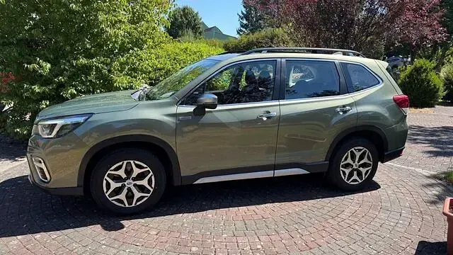 Gebraucht Subaru Forester Trend 150 PS (110 kW) 2020 Grün SUV