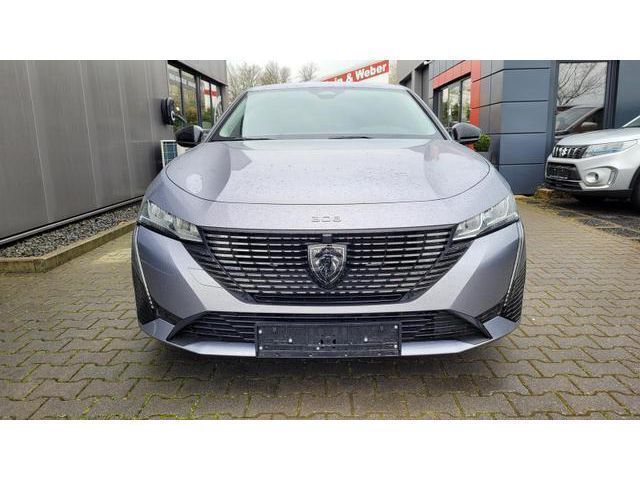 Gebraucht Peugeot 308 Active 131 PS (96 kW) 2024 Seleniumgrau (metallic) Kombi