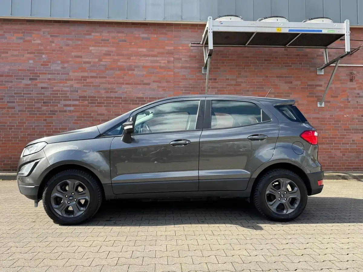 Usado Ford Ecosport Trend 101 CV (74 kW) 2020 Gris SUV