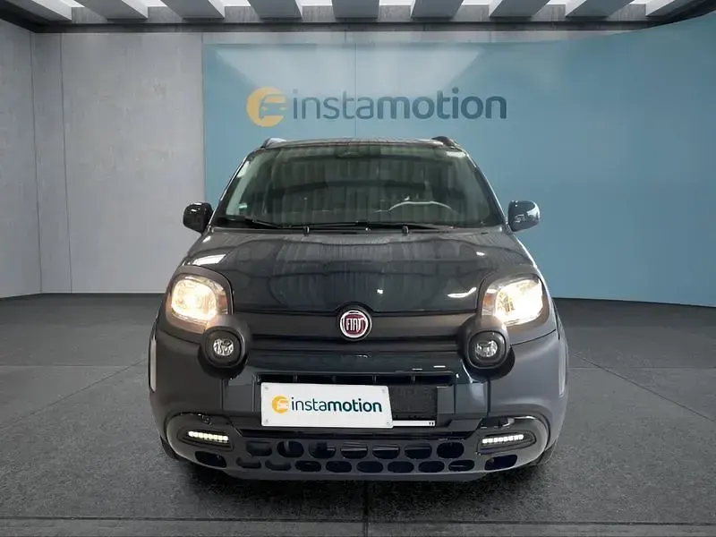 Neu Fiat Panda Cross Cross 65 PS (47 kW) 2025 Grün Kleinwagen