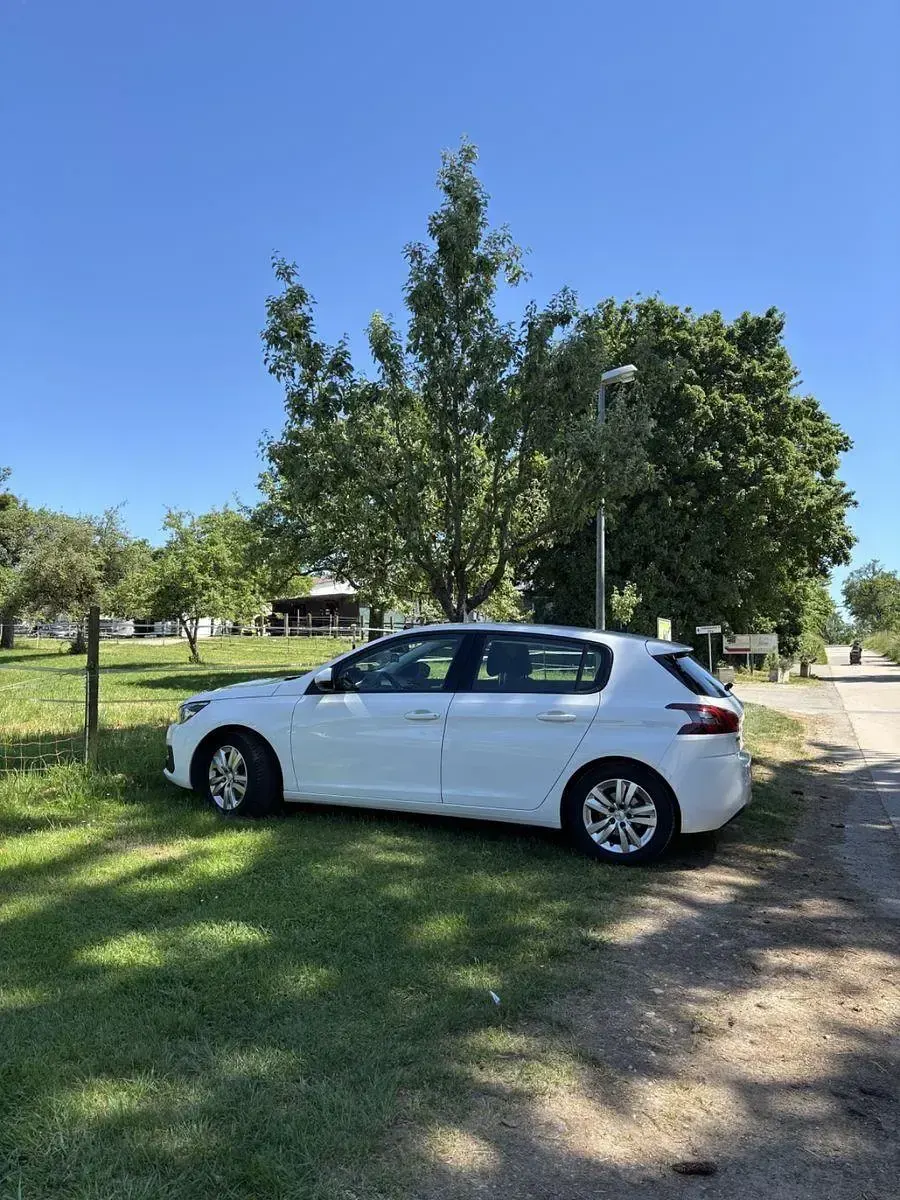 Gebraucht Peugeot 308 131 PS (96 kW) 2019 Weiß Limousine