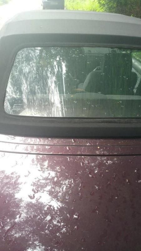 Gebraucht Peugeot 306 Cabriolet 1996 Andere farben Cabrio