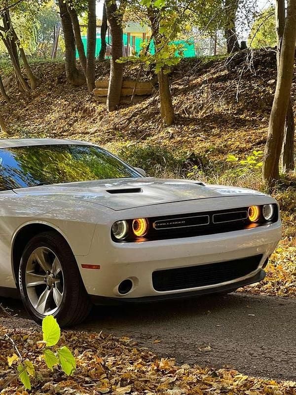 Gebraucht Dodge Challenger SXT 309 PS (227 kW) 2016 Coupé