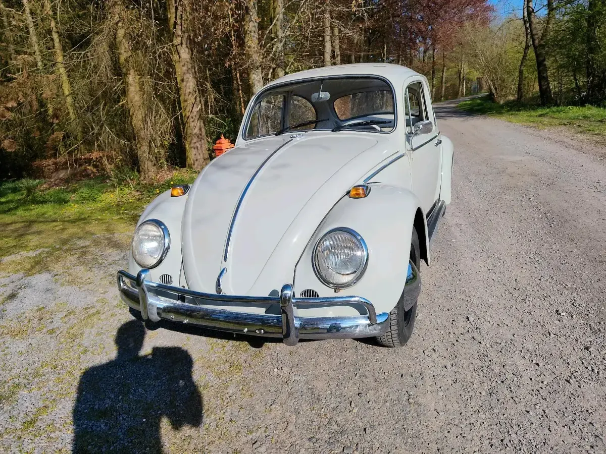 Używany VW Käfer 34 KM (25 kW) 1965 Szary Hatchback