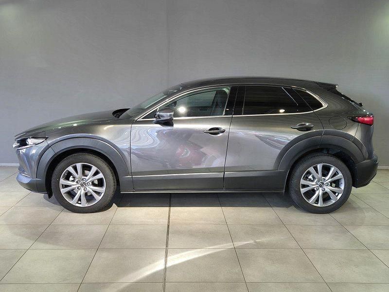 Gebraucht Mazda CX-30 Selection 150 PS (110 kW) 2022 Machine grey (metallic) SUV
