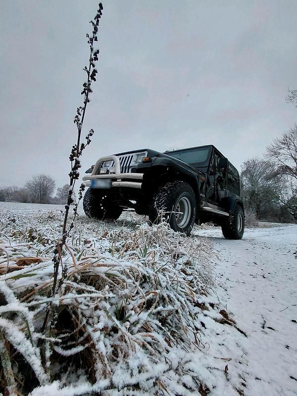 Gebraucht Jeep Wrangler 180 PS (132 kW) 1992 Schwarz SUV