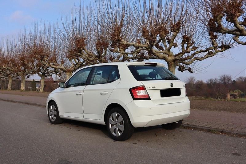 Gebraucht Skoda Fabia Joy 60 PS (44 kW) 2015 Weiß Kleinwagen