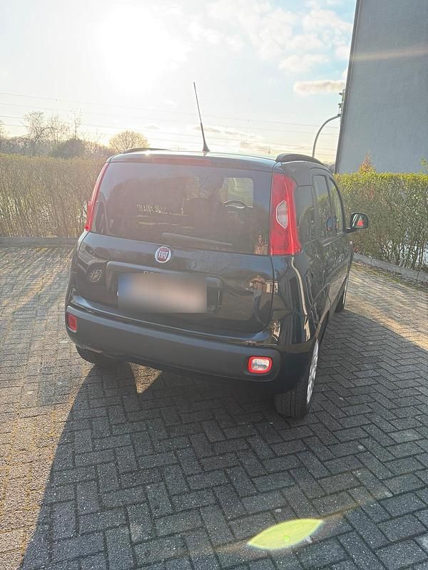 Gebraucht Fiat Panda Easy 69 PS (50 kW) 2020 Schwarz Kleinwagen