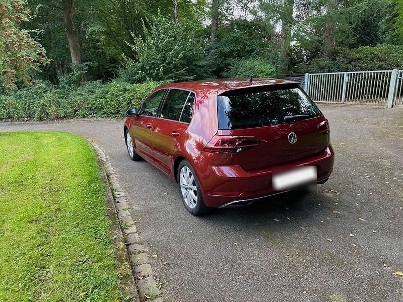 Gebraucht VW Golf VII 116 PS (85 kW) 2019 Rot Limousine