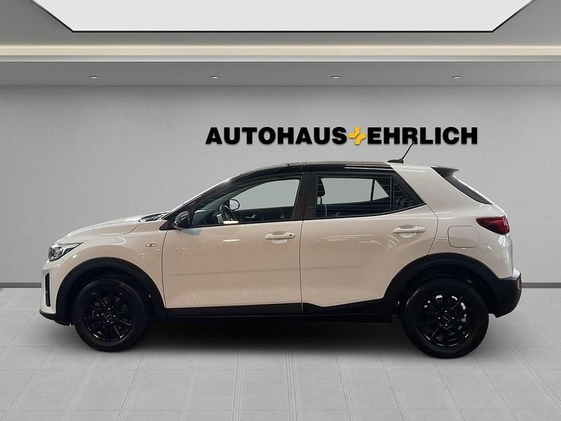 Gebraucht Kia Stonic Edition 7 84 PS (61 kW) 2019 Weiß SUV