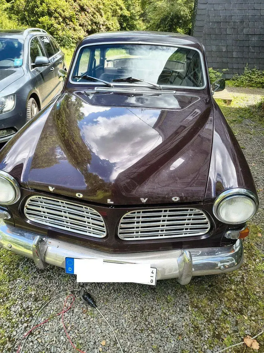 Gebraucht Volvo Amazon 82 PS (60 kW) 1969 Braun Limousine