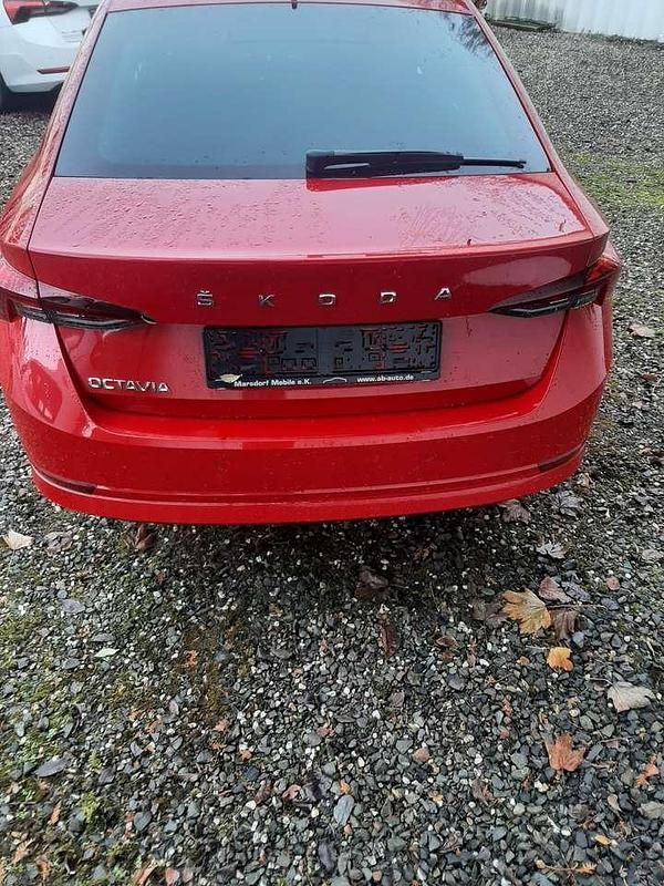 Gebraucht Skoda Octavia Active 116 PS (85 kW) 2021 Rot Limousine