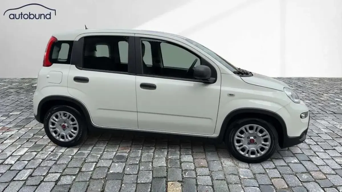 Gebraucht Fiat Panda 71 PS (52 kW) 2024 Gelatoweiss Kleinwagen
