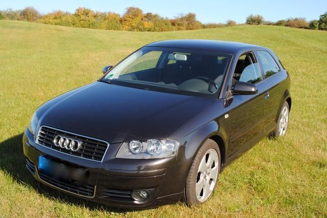Gebraucht Audi A3 Ambition 102 PS (75 kW) 2003 Grau metallic Kleinwagen