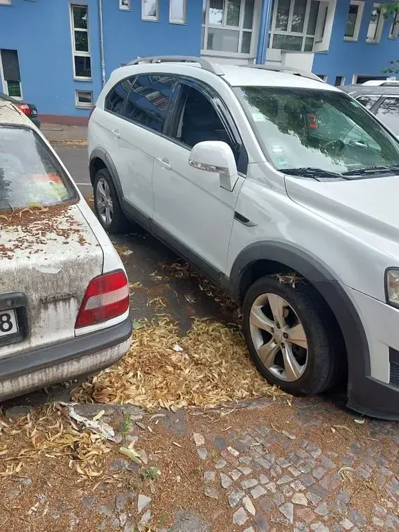 Gebraucht Chevrolet Captiva LTZ 184 PS (135 kW) 2013 Weiß SUV