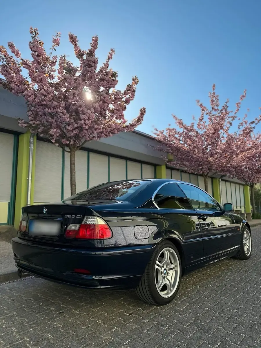 Gebraucht BMW 320 Sport Line 170 PS (125 kW) 2000 Blau Coupé