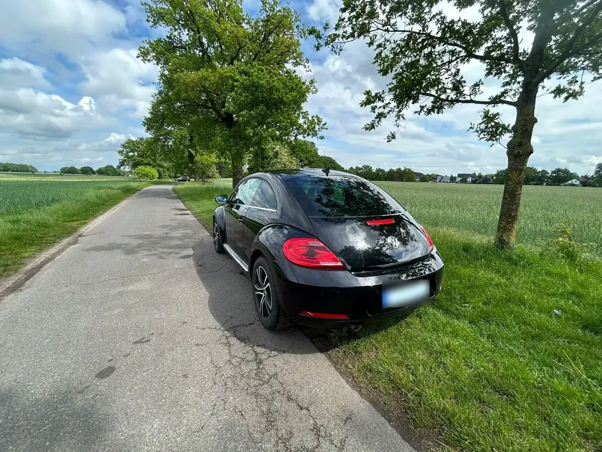 Gebraucht VW Beetle Allstar 110 PS (80 kW) 2016 Schwarz Kleinwagen