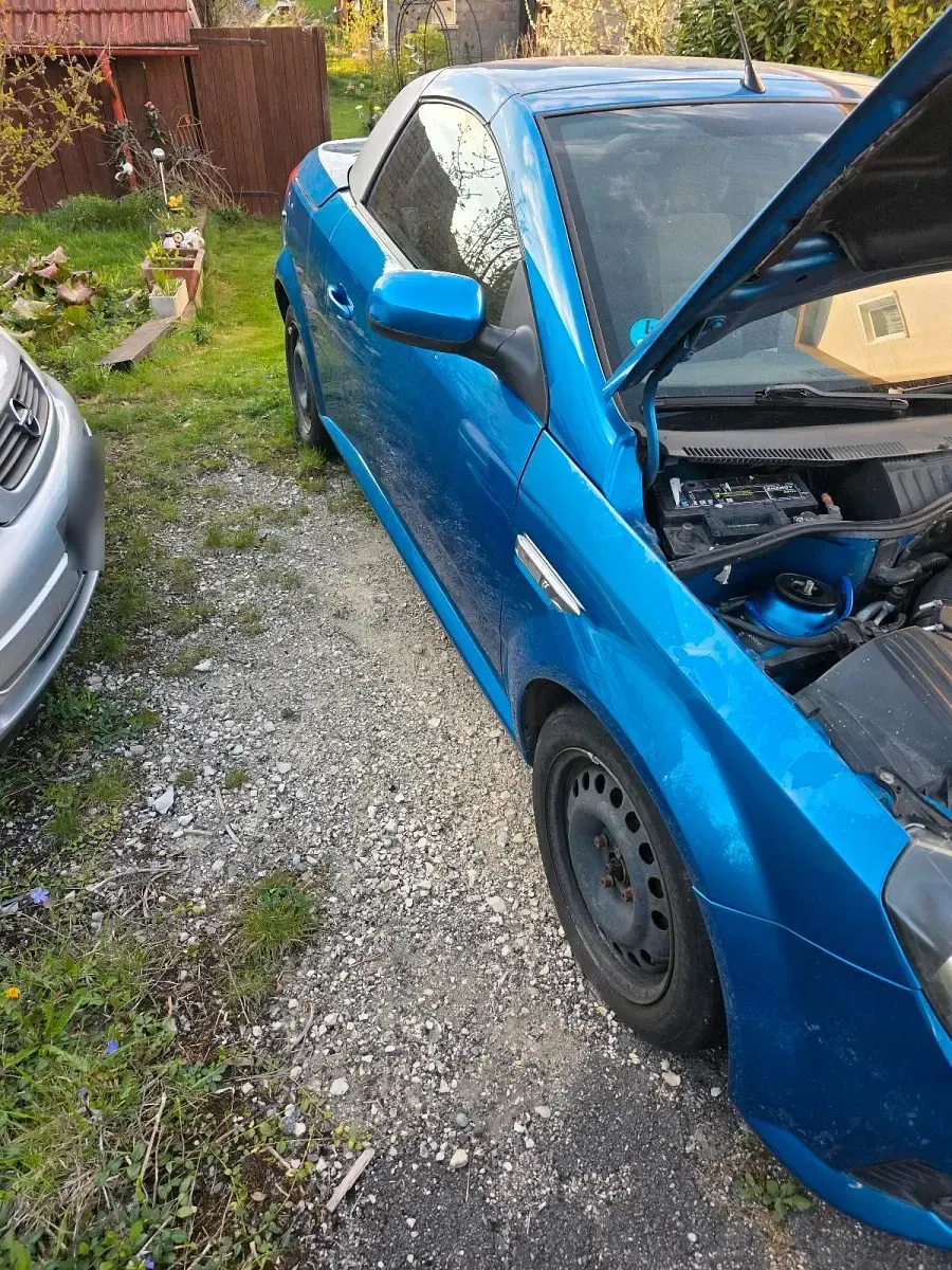 Gebraucht Opel Tigra 125 PS (91 kW) 2004 Blau Cabrio