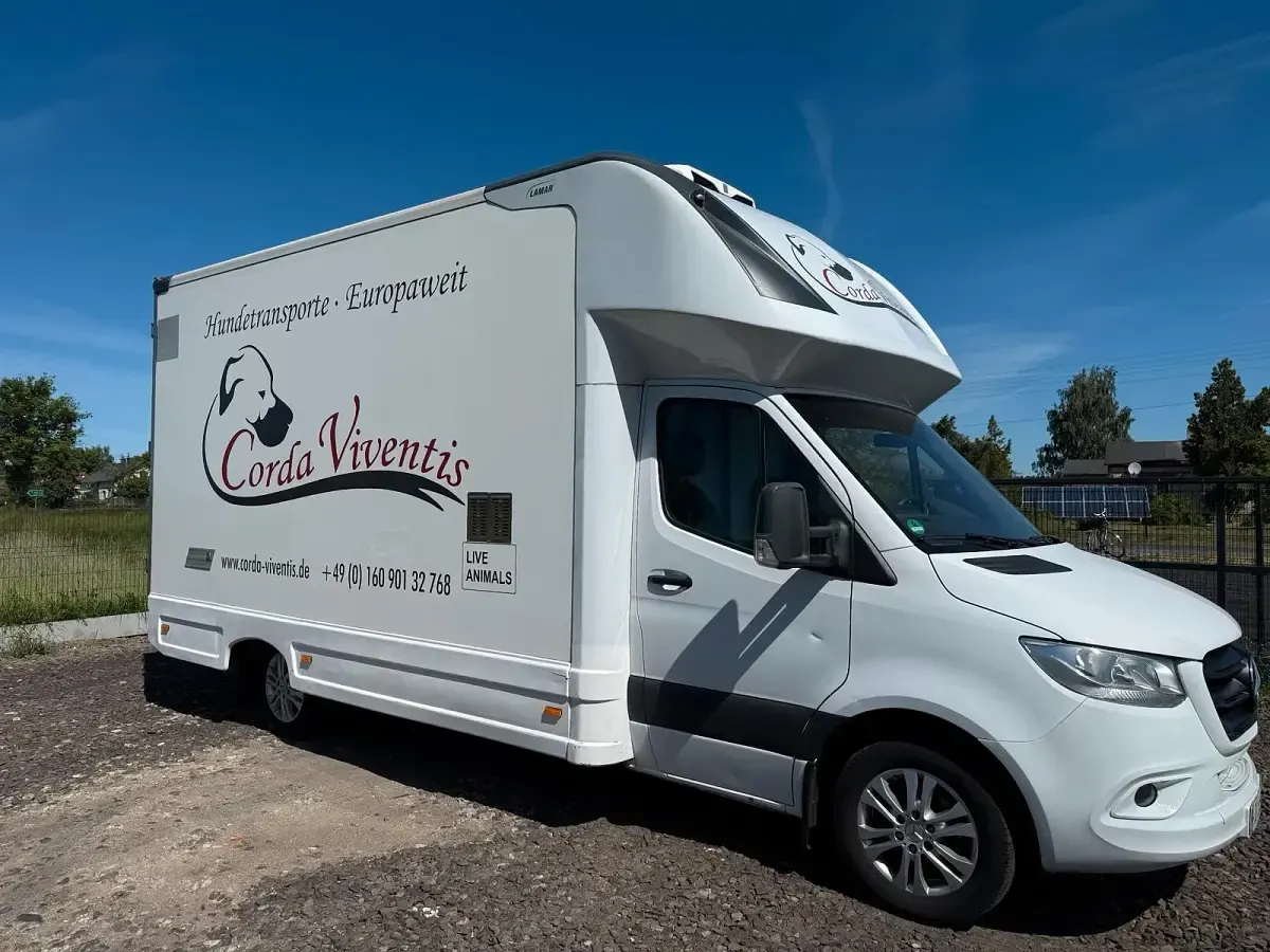 Gebraucht Mercedes Sprinter 190 PS (139 kW) 2021 Weiß Van