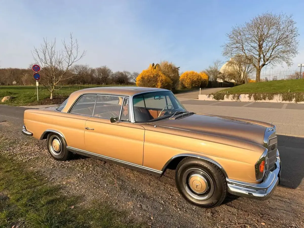 Gebraucht Mercedes 250 150 PS (110 kW) 1966 Gold Coupé