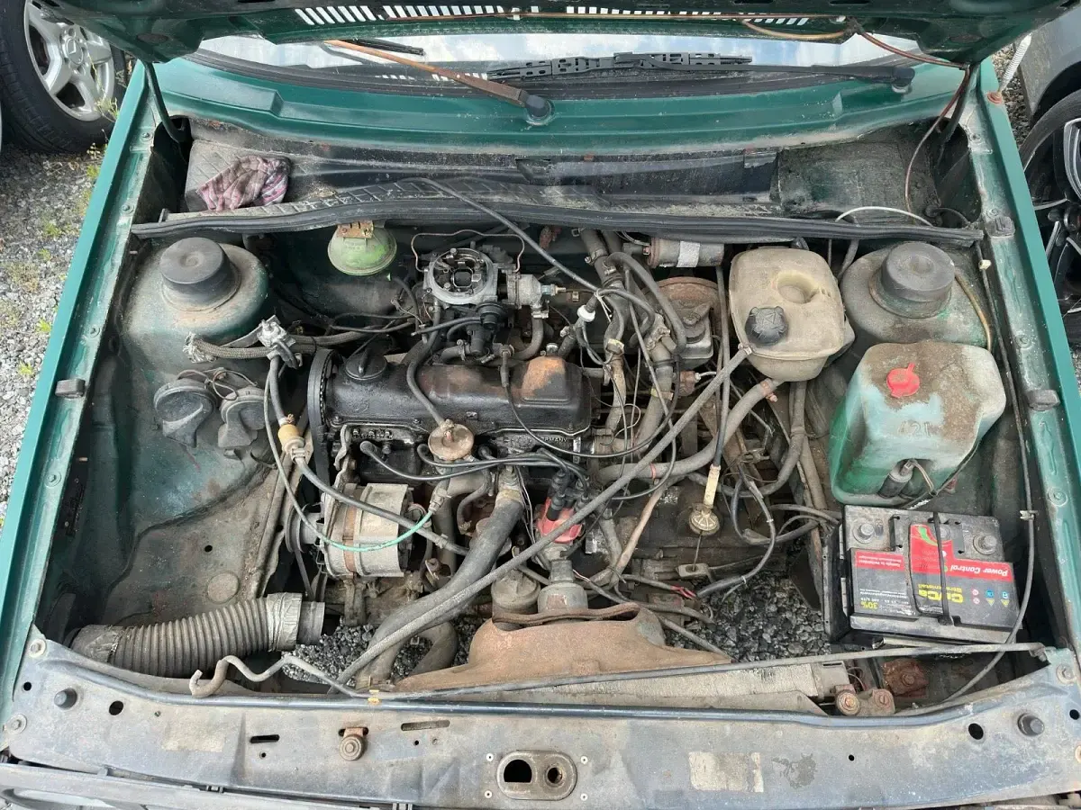 Gebraucht VW Golf II 75 PS (55 kW) 1984 Grün Kleinwagen