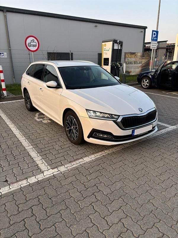 Gebraucht Skoda Octavia 150 PS (110 kW) 2022 Weiß Kombi
