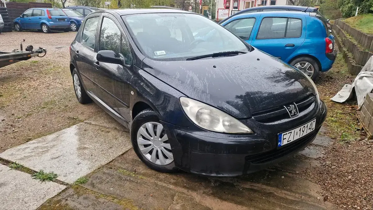 Gebraucht Peugeot 307 110 PS (80 kW) 2004 Blau Kombi