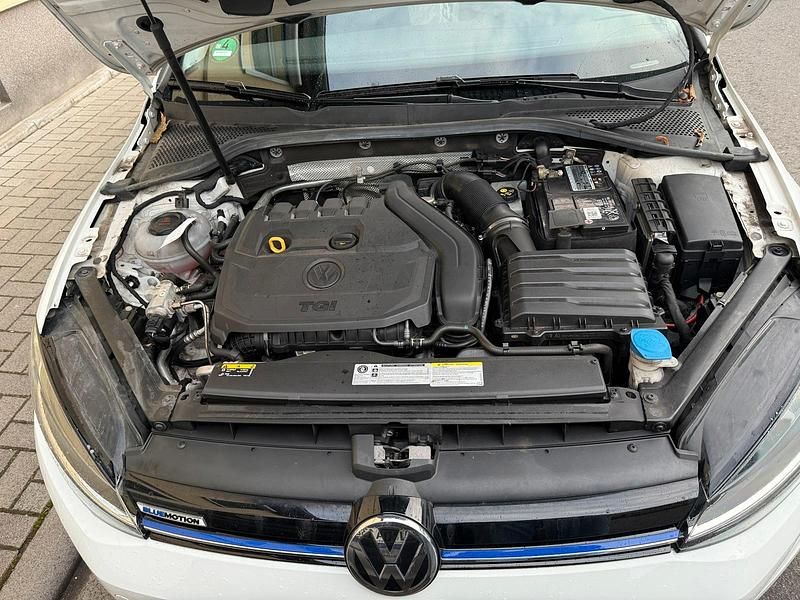 Gebraucht VW Golf VII 130 PS (95 kW) 2019 Weiß Limousine