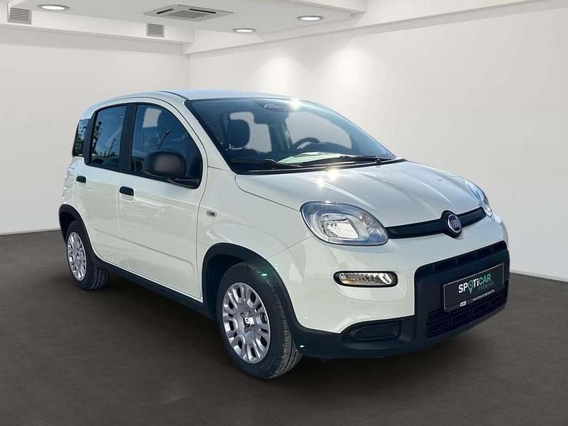 Gebraucht Fiat Panda 69 PS (50 kW) 2024 Gelato weiss Kleinwagen
