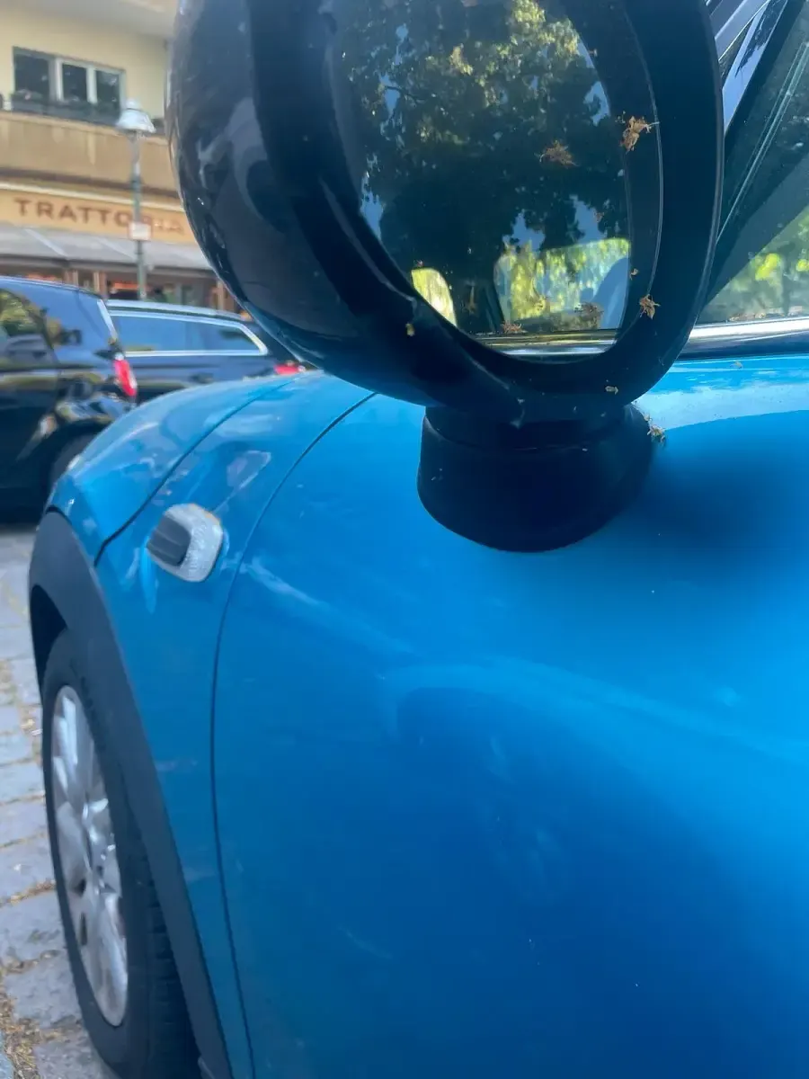 Gebraucht Mini Cooper D 127 PS (93 kW) 2014 Blau Kleinwagen
