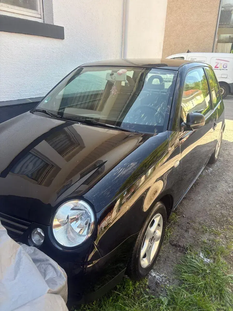 Gebraucht VW Lupo Basis 60 PS (44 kW) 2001 Schwarz Kleinwagen