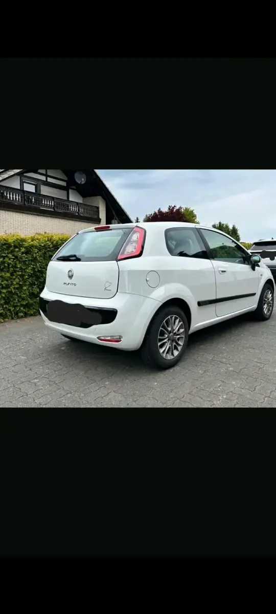 Gebraucht Fiat Punto 2011 Weiß Kleinwagen