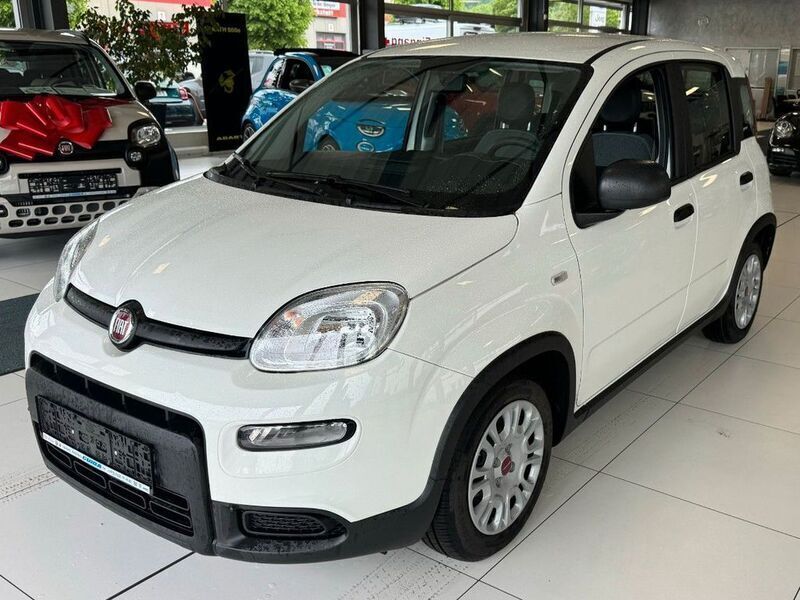 Weiß Neu 2025 Fiat Panda Kleinwagen | 14.990 € (Fairer Preis) - Bild 1/4