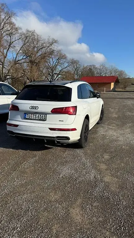 Gebraucht Audi Q5 S-Line 286 PS (210 kW) 2019 Weiß SUV