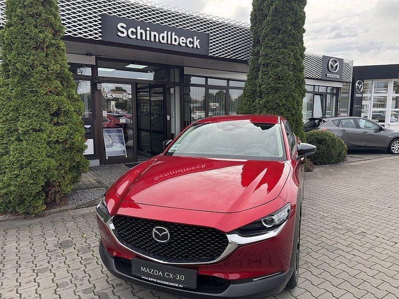 Gebraucht Mazda CX-30 Homura-Line 140 PS (102 kW) 2025 Rot SUV