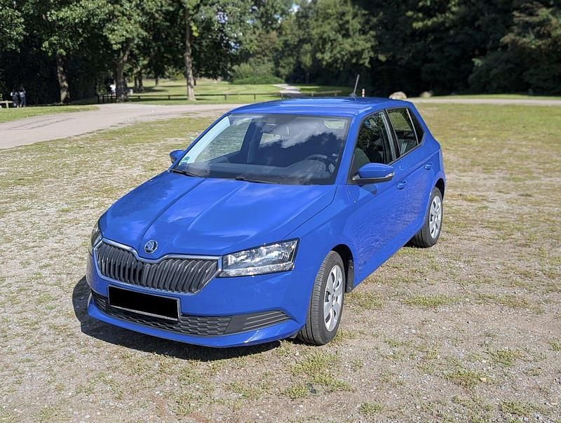 Blau Gebraucht 2019 Skoda Fabia Active Kleinwagen | 6.700 € (Superpreis) - Bild 1/4