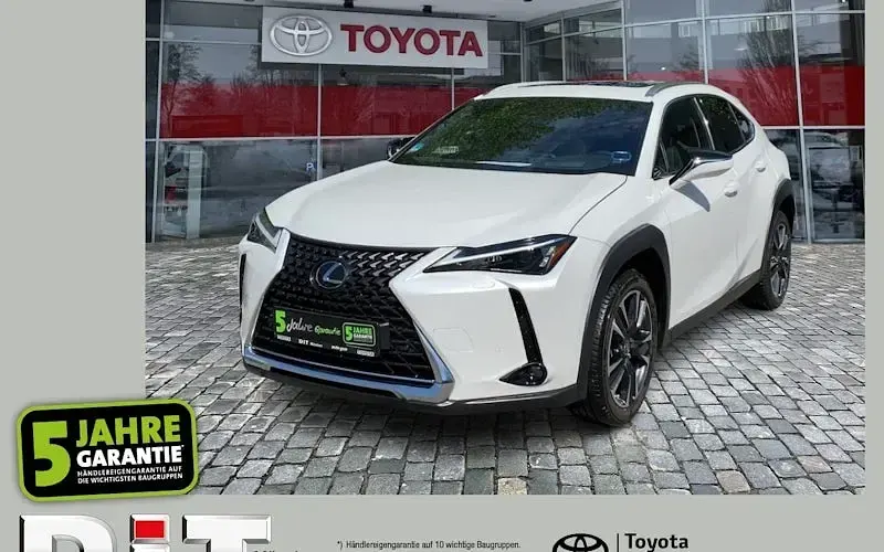 Gebraucht Lexus UX 250h Executive Line 184 PS (135 kW) 2023 Weiß SUV