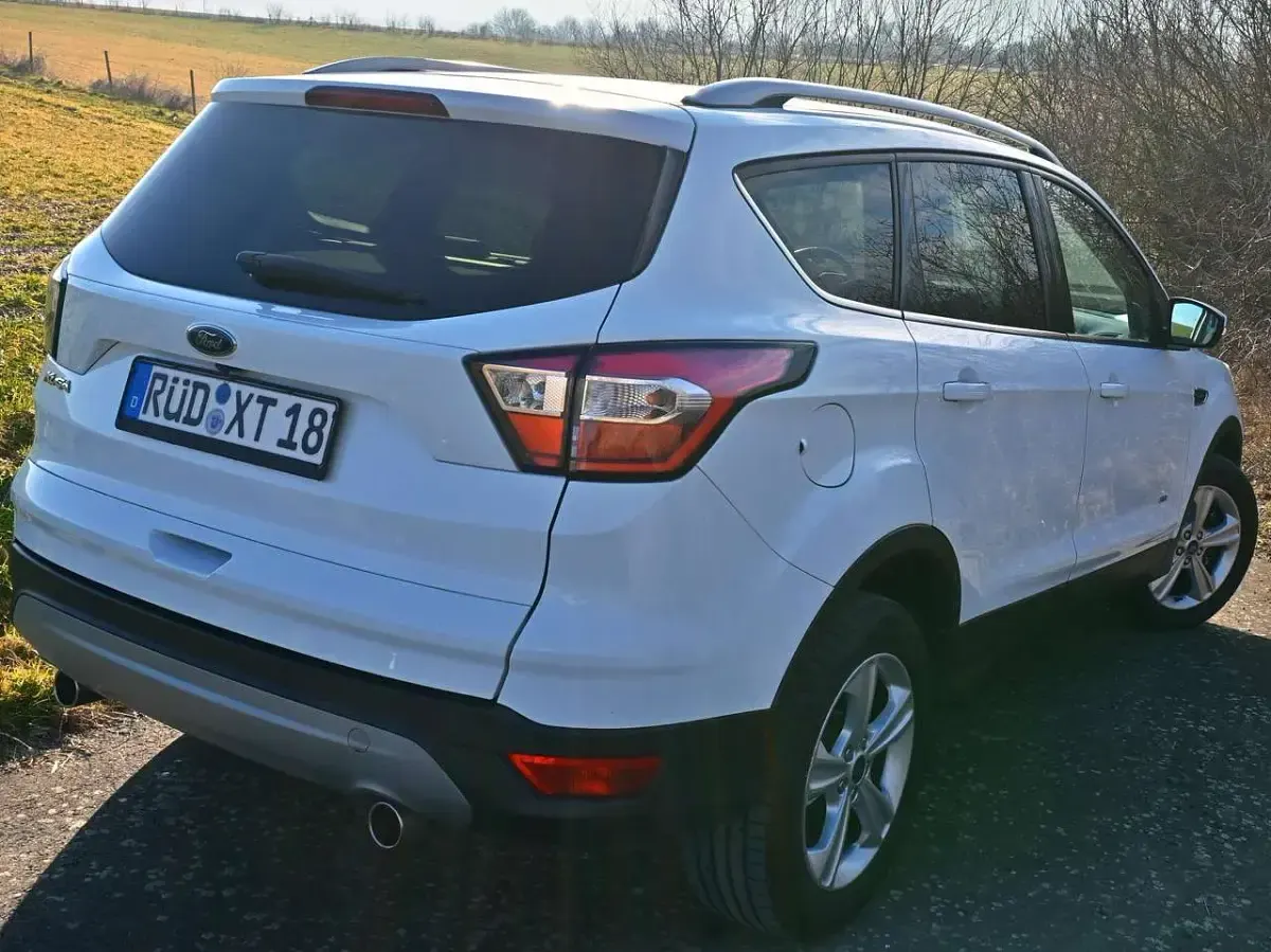 Gebraucht Ford Kuga Titanium 179 PS (131 kW) 2017 Weiß SUV