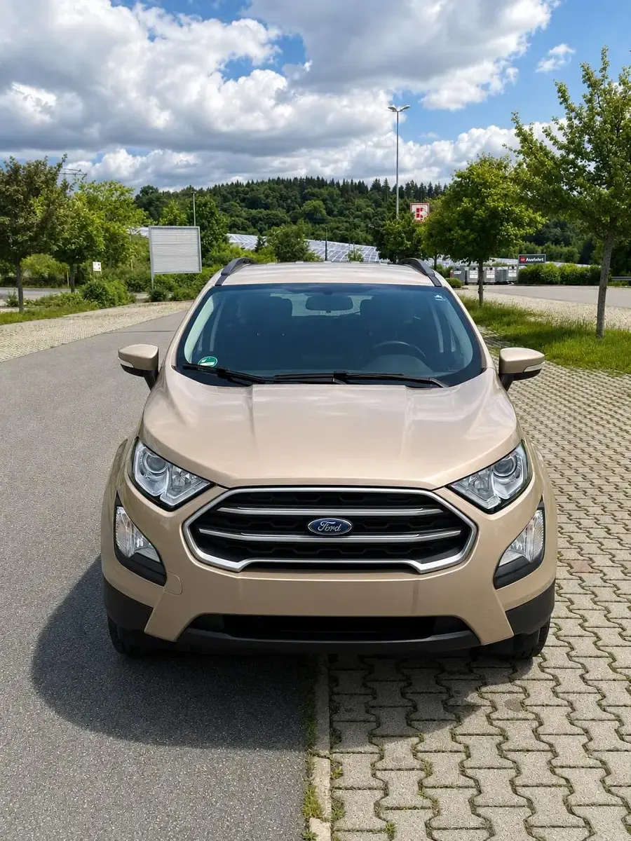 Gebraucht Ford Ecosport Cool & Connect 125 PS (91 kW) 2019 Beige SUV