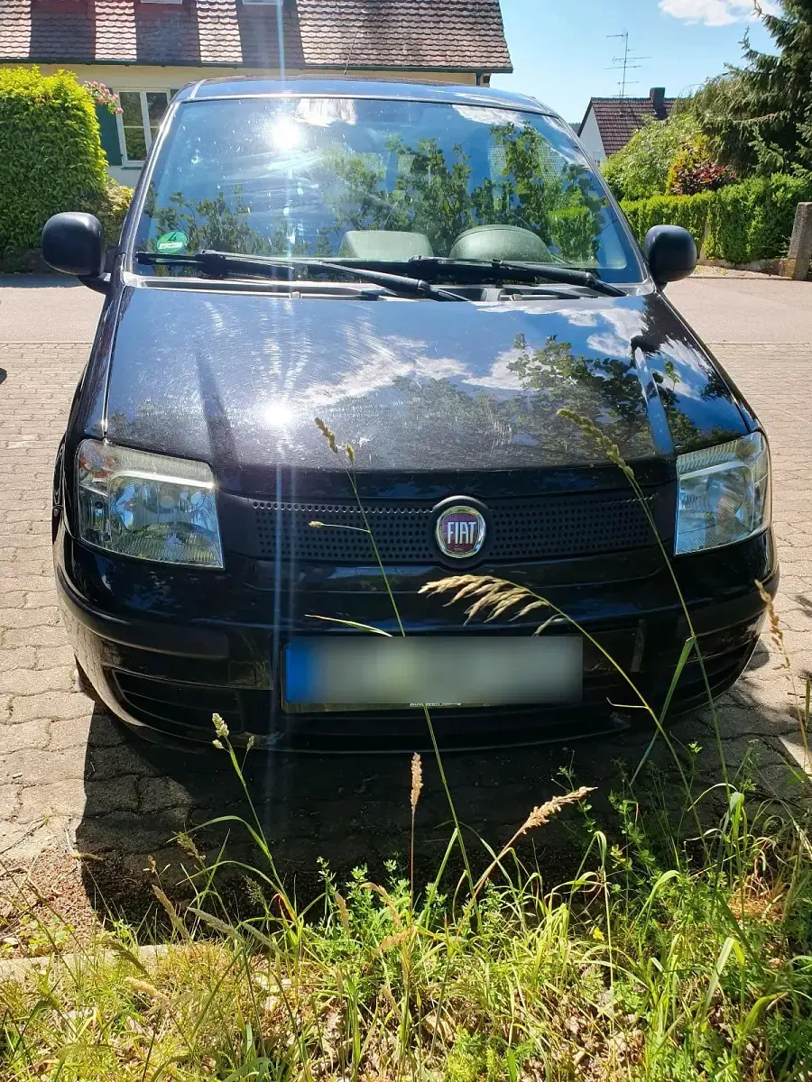Gebraucht Fiat Panda 69 PS (50 kW) 2011 Schwarz Kleinwagen